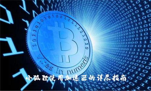 小狐狸使用加速器的详尽指南